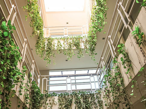 Legreen Suite Pejompongan Jakarta Exterior foto